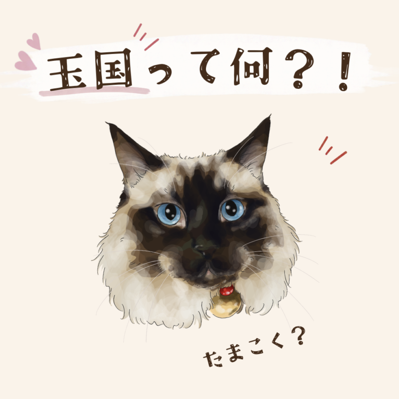 ミッキー玉国