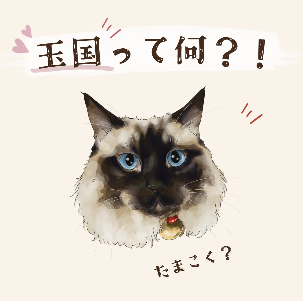 ミッキー玉国